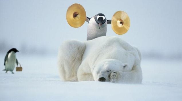 Bilden visar en pingvin och en isbjörn